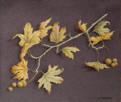 1099pinakes | Φθινοπωρινά φύλλα | ελαιογραφία - 1983 - 50Χ60 
 |  Βασίλης Ρογκότης