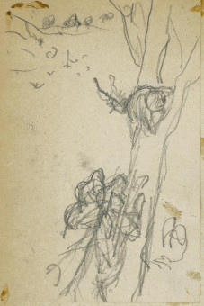 1759pinakes | Σκύλος κυνηγά γάτα πάνω σε δέντρο | σχέδιο - 1875-80 - 12Χ8 Από το άλμπουμ "Σημειώσεις από το 1877 και & |  Νικόλαος Γύζης
