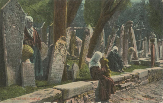 3049kart | Τουρικό νεκροταφείο στο Σκούταρι. Επιχρωματισμένη | Κωνσταντινούπολη | T120/023
 |  Edit. Stampa
