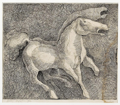 343pinakes | Άλογα | χαλκογραφία - 1972 - 46Χ53 
 |  Χρήστος Καρράς