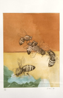 469pinakes | Ο κόσμος της μελισσας | χαλκογραφία - 1980 - 32Χ24 
 |  Enrico Visani