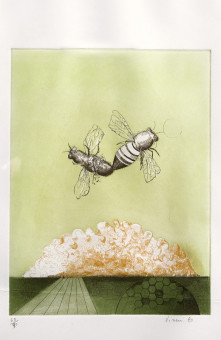 470pinakes | Ο κόσμος της μελισσας | χαλκογραφία - 1980 - 32Χ24 
 |  Enrico Visani