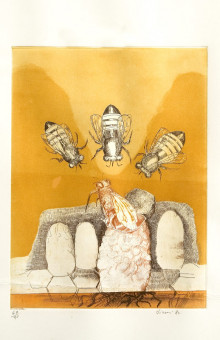 471pinakes | Ο κόσμος της μελισσας | χαλκογραφία - 1980 - 32Χ24 
 |  Enrico Visani