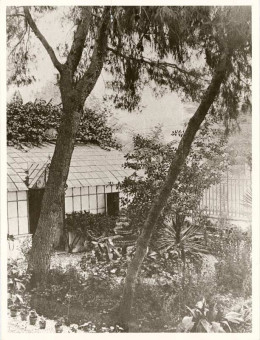A24 | Ο κήπος του σπιτιού του στρ. Sarrail | Ο στρατηγός Sarrail |  συλ. R. Viollet - 23,8 X 18,2 -  |  -