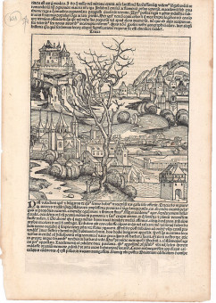    |   | Χάρτες |  Nürnberg, 1493, Ξυλογραφία, 22,5 Χ 19 εκ., Χωρίς Αριθμό Καταλόγου Ζαχαράκη |  Hartmann Schedel